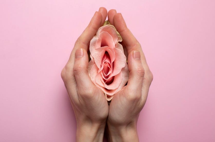 mujer sosteniendo rosa en manos